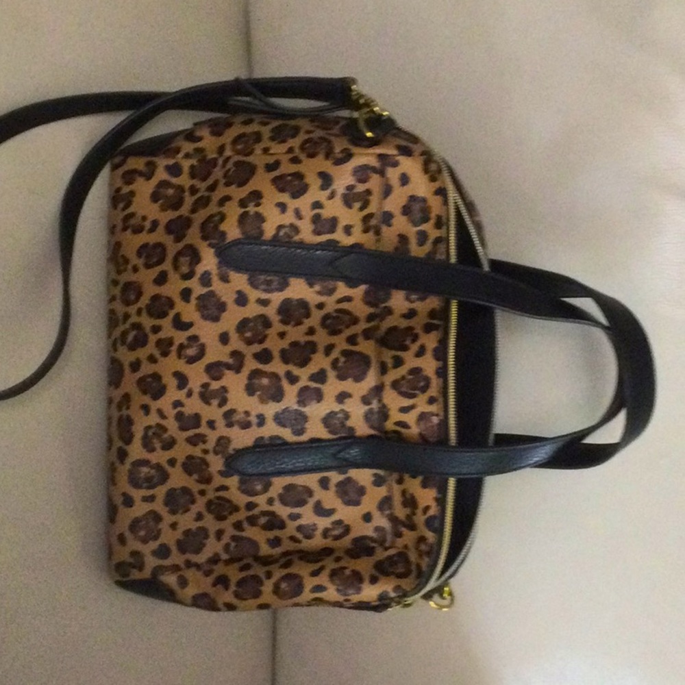 Fossil purse